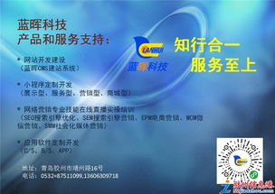 科技賦能未來 網站、小程序與軟件開發(fā)引領應用服務新浪潮